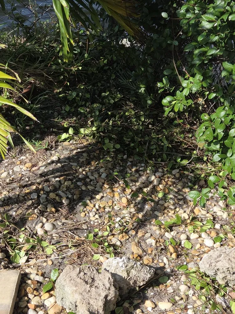 Local landscape design in Cape Coral, FL - Lawn Caring Guys