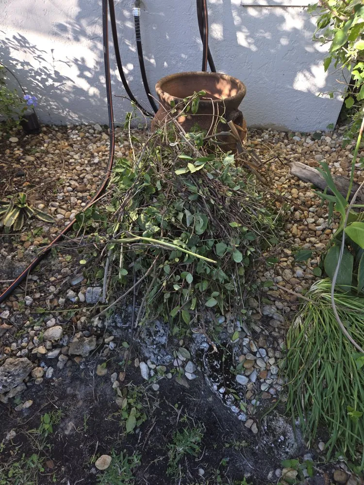 Affordable lawn care service in Cape Coral, FL by Lawn Caring Guys