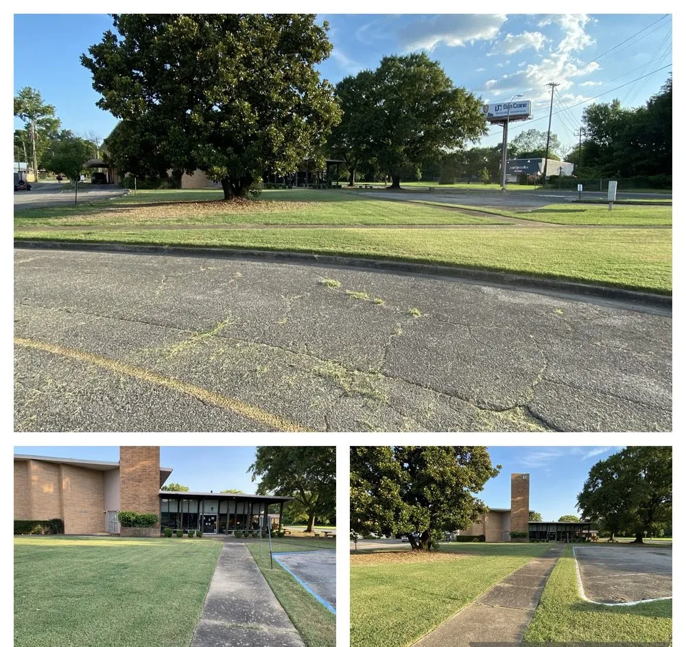 Affordable yard maintenance experts serving Center Point, AL - Lawn Champs