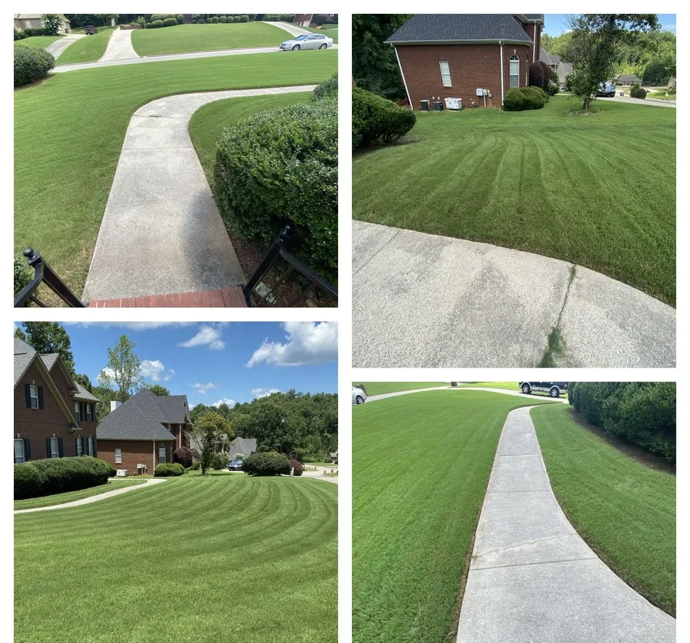 Top-rated landscape installation in Center Point, AL - Lawn Champs