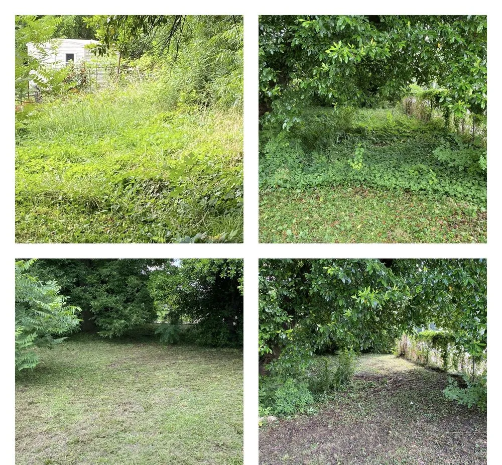 Top-rated landscape installation for year-round maintenance across Center Point, AL - Lawn Champs