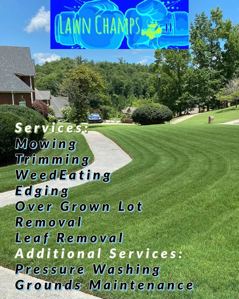 Expert yard cleanup service in Center Point, AL by Lawn Champs