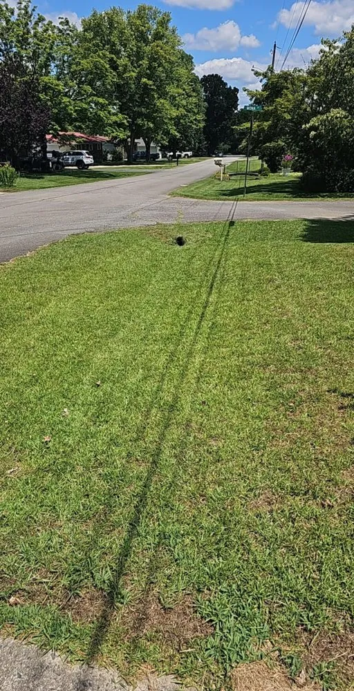 Top-rated residential landscaping near you across Quitman, AR - Lawn Champs