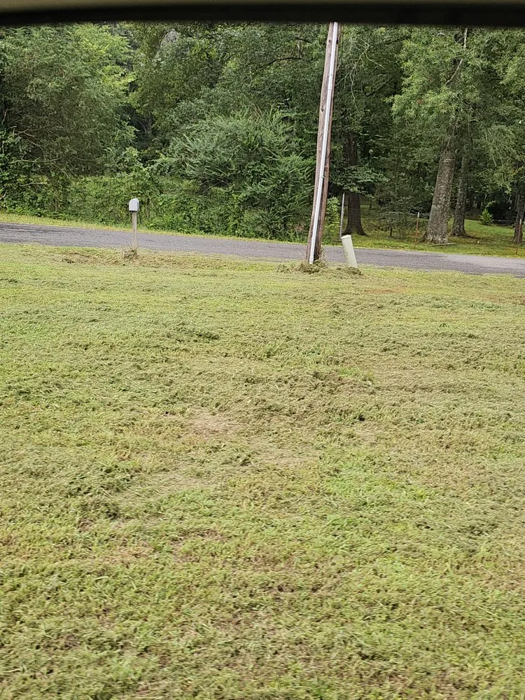 Trusted lawn care service experts serving Quitman, AR - Lawn Champs