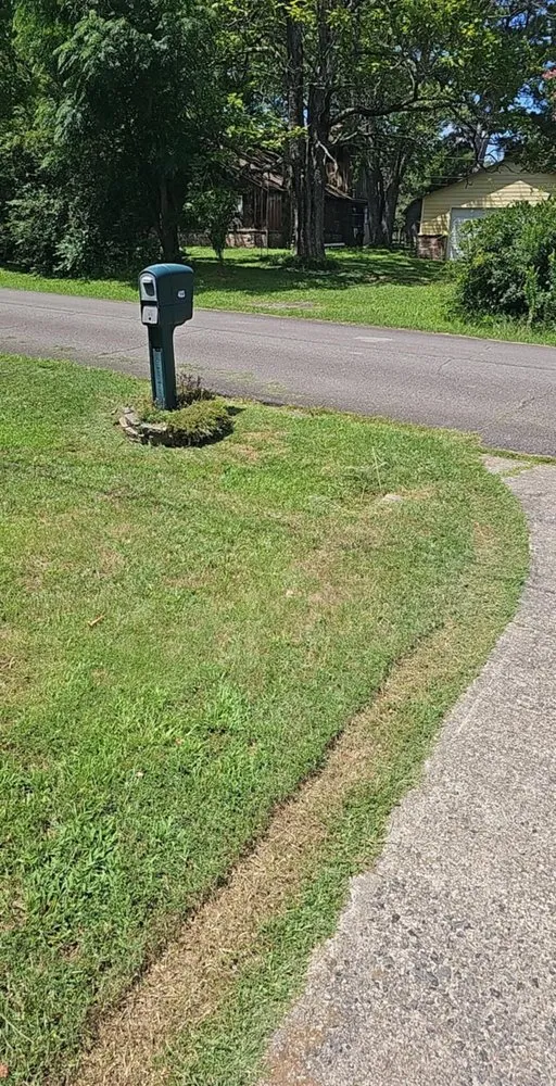 Custom residential landscaping for beautiful yards across Quitman, AR - Lawn Champs