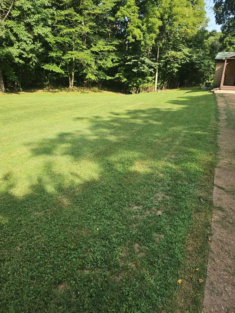 Trusted landscape installation experts serving Quitman, AR - Lawn Champs