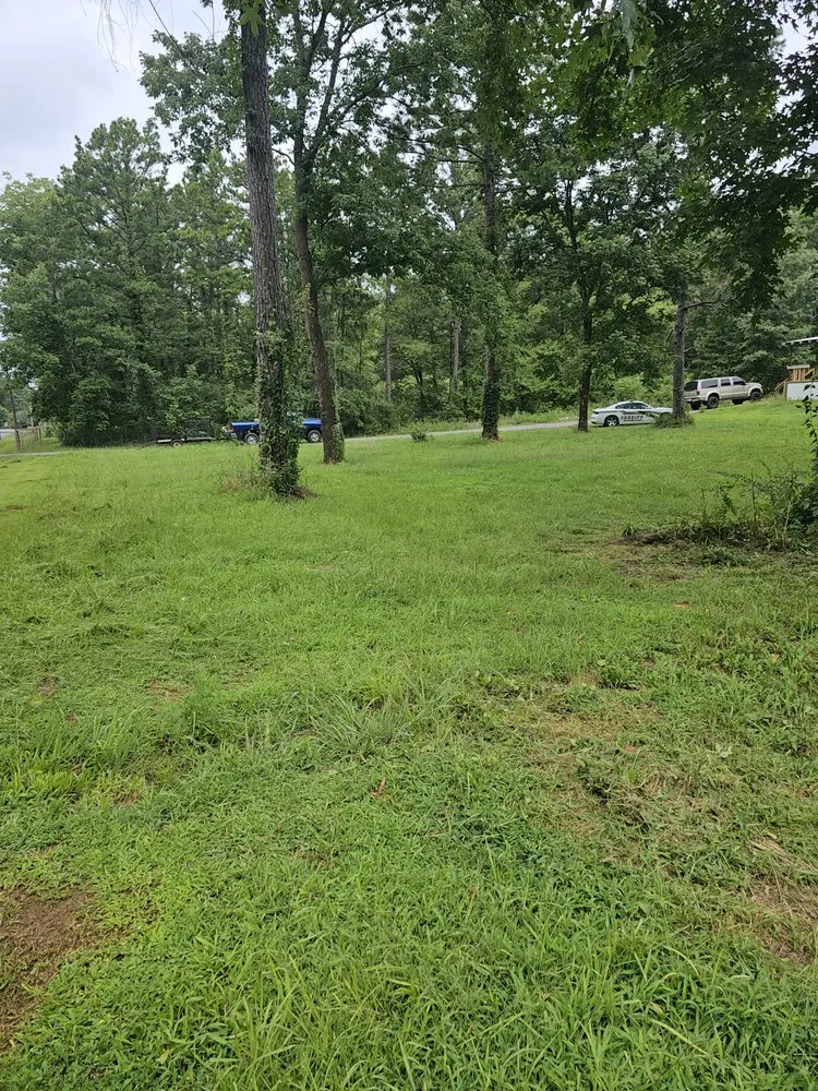 Trusted yard cleanup service for year-round maintenance across Quitman, AR - Lawn Champs