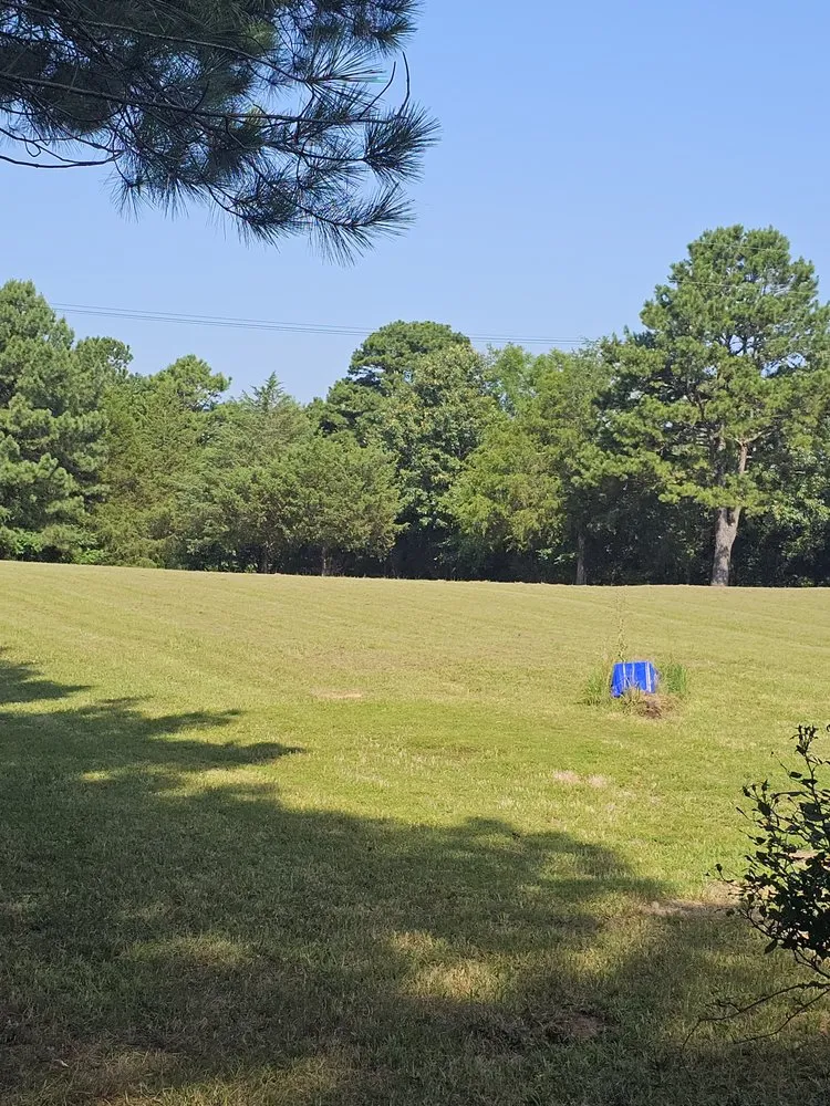 Expert yard cleanup service for outdoor upgrades across Quitman, AR - Lawn Champs