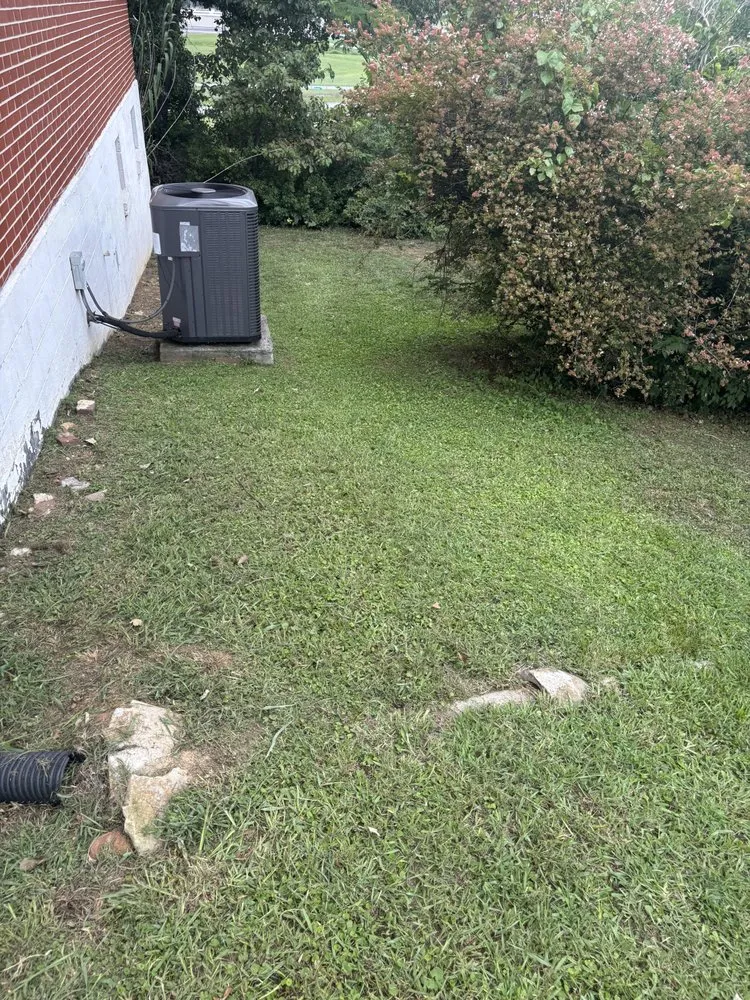 Professional yard cleanup service for beautiful yards across Chattanooga, TN - Lawn Chemist