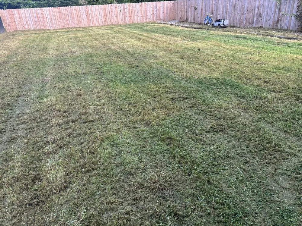 Custom yard cleanup service for year-round maintenance in Chattanooga, TN by Lawn Chemist