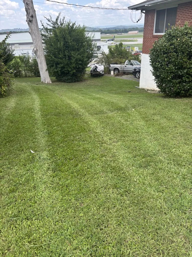 Top-rated landscape installation experts serving Chattanooga, TN - Lawn Chemist