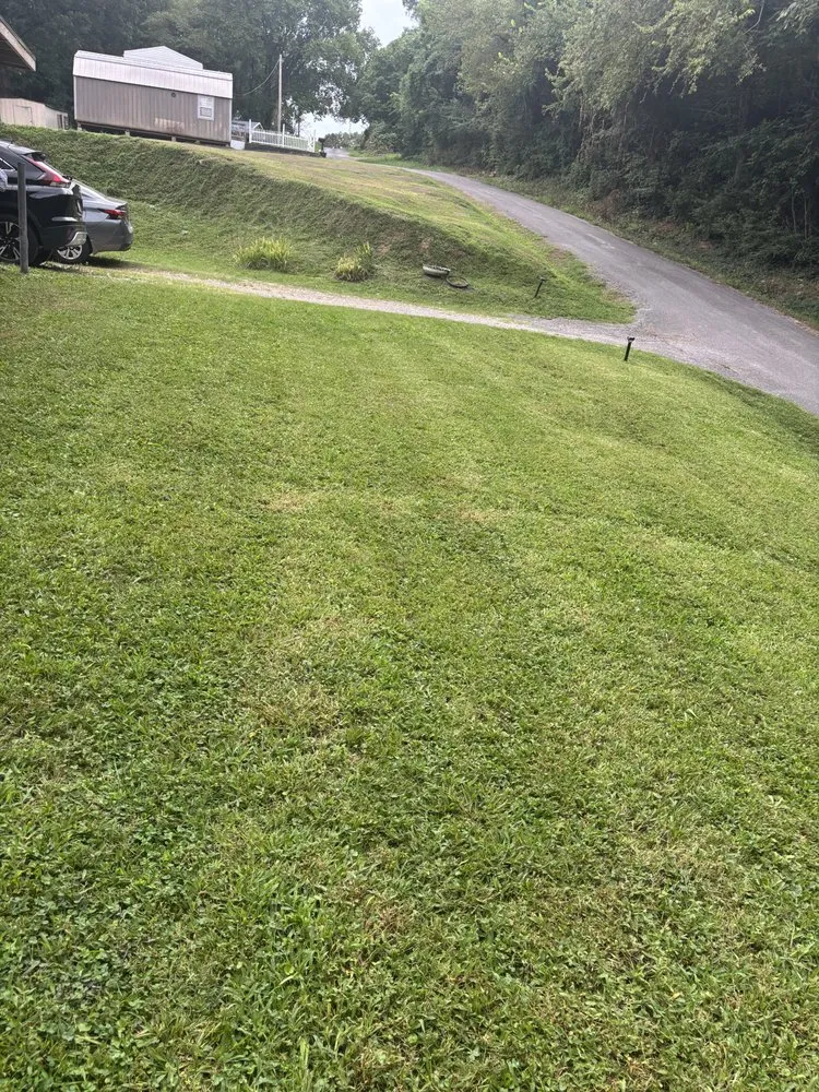 Reliable landscape installation experts serving Chattanooga, TN - Lawn Chemist