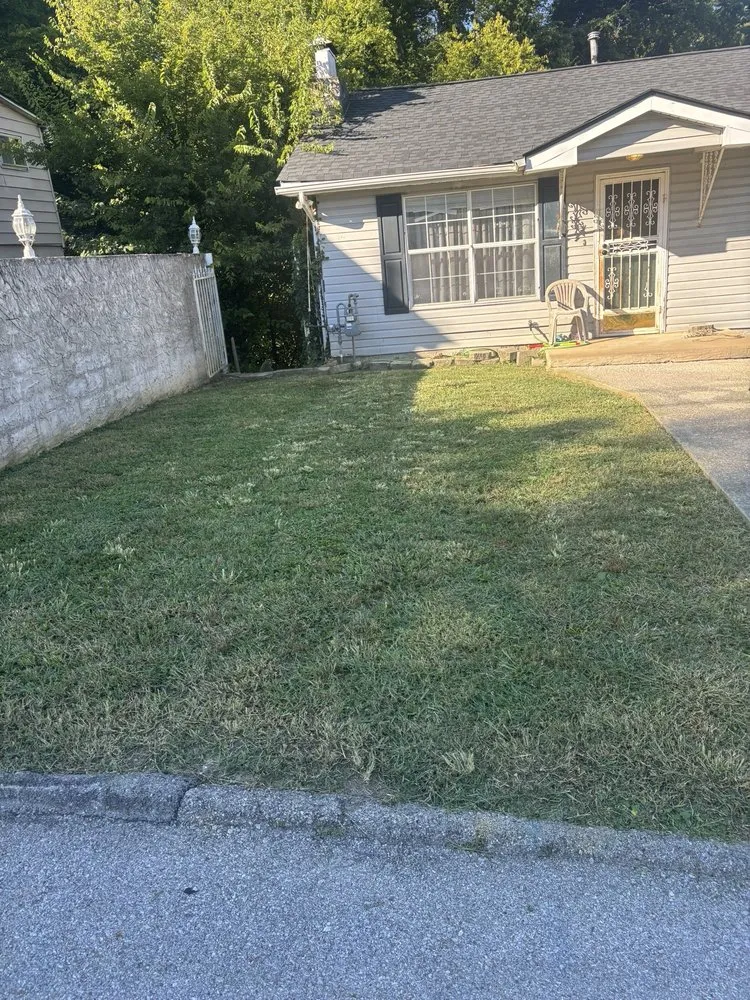 Professional landscaping services in Chattanooga, TN by Lawn Chemist