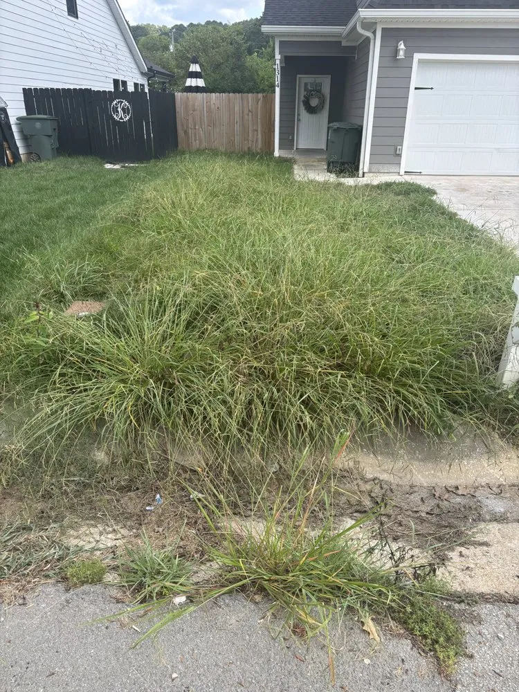 Professional yard cleanup service experts serving Chattanooga, TN - Lawn Chemist