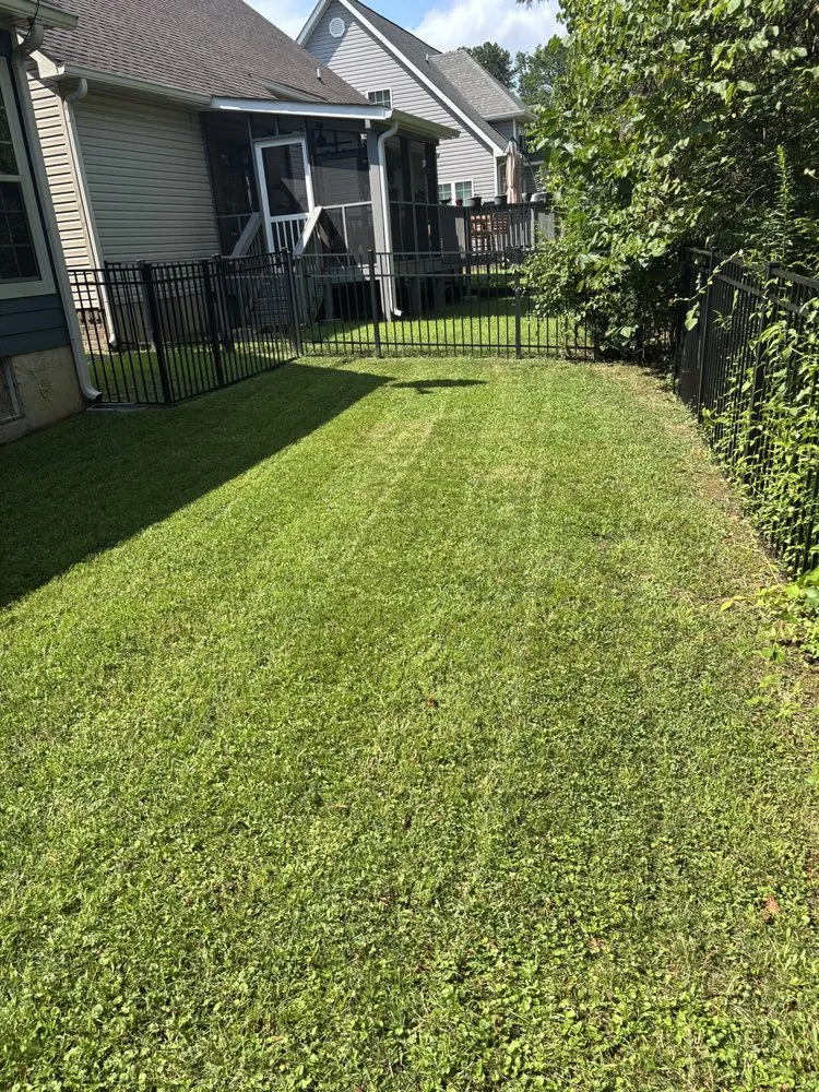 Custom landscape installation for year-round maintenance in Chattanooga, TN by Lawn Chemist
