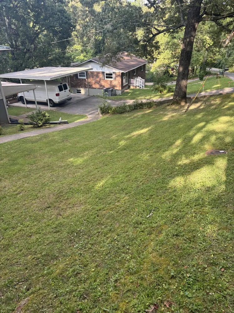 Affordable yard cleanup service for outdoor upgrades across Chattanooga, TN - Lawn Chemist