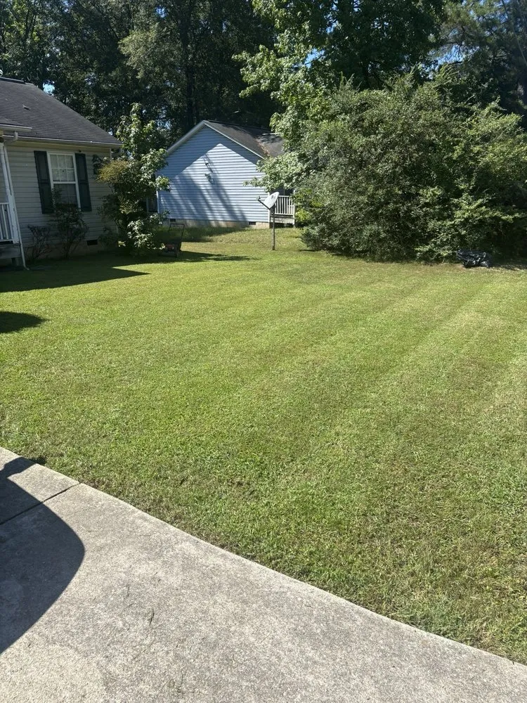 Affordable landscaping services near you in Chattanooga, TN by Lawn Chemist