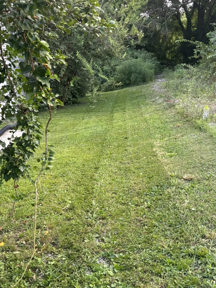 Affordable outdoor landscaping experts serving Chattanooga, TN - Lawn Chemist