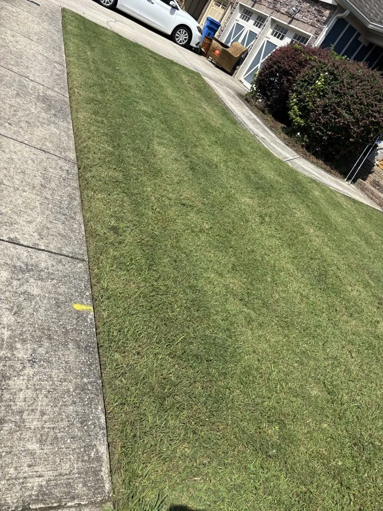 Professional landscaping services experts serving Chattanooga, TN - Lawn Chemist