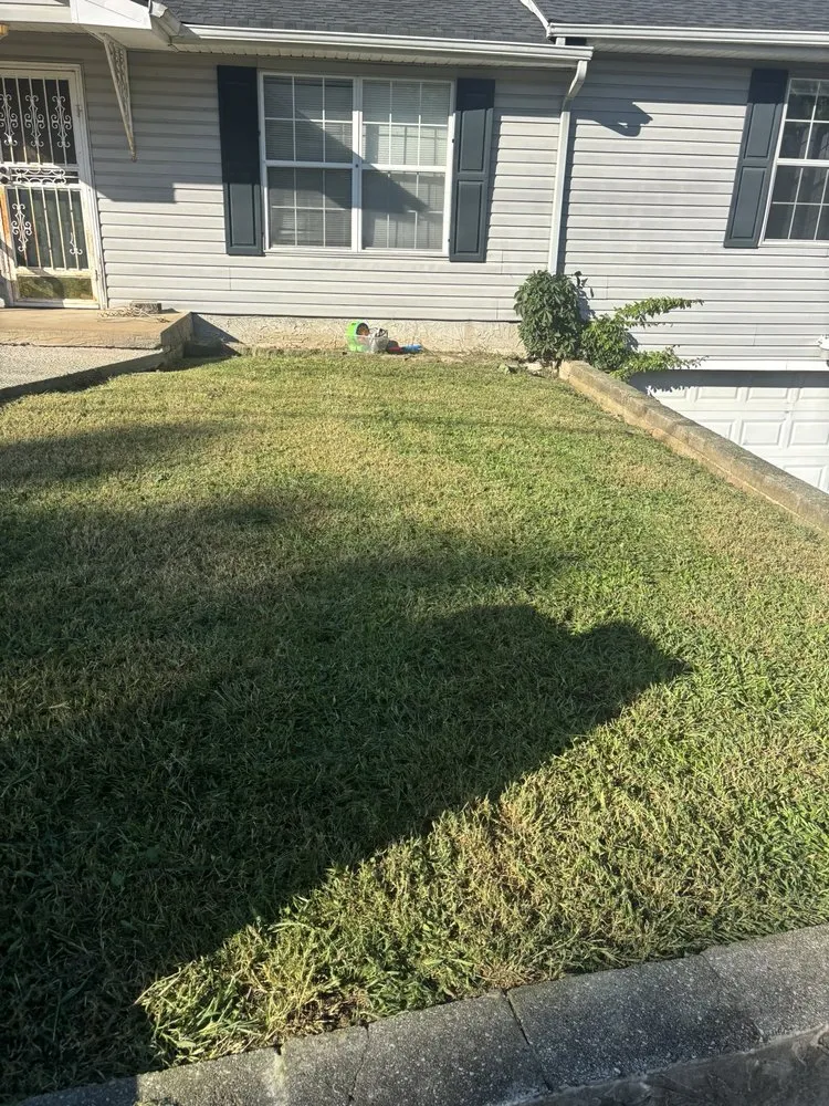 Local lawn care service for beautiful yards in Chattanooga, TN by Lawn Chemist