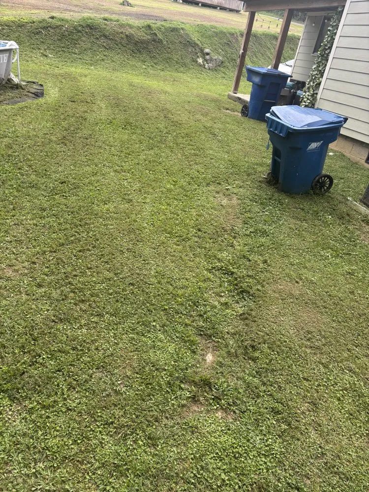 Reliable landscape installation with custom design across Chattanooga, TN - Lawn Chemist