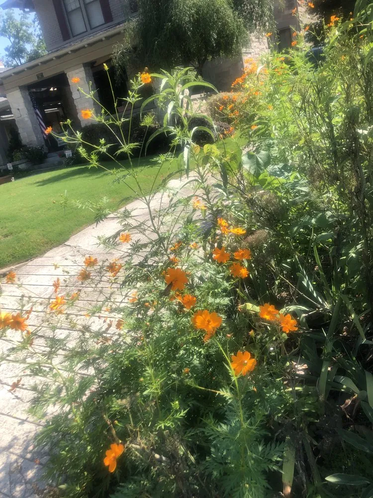 Top-rated outdoor landscaping in Memphis, TN - Lawn Chicks