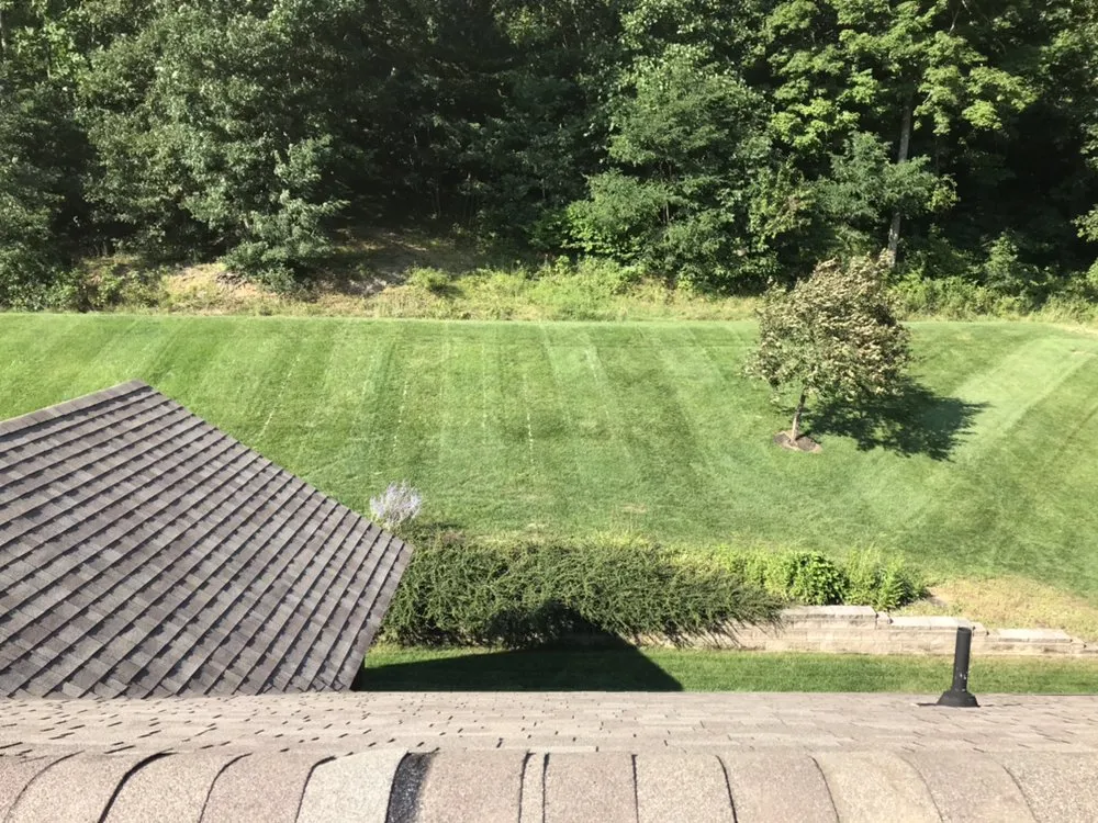 Affordable lawn care service in McHenry, MD by Lawn Coach
