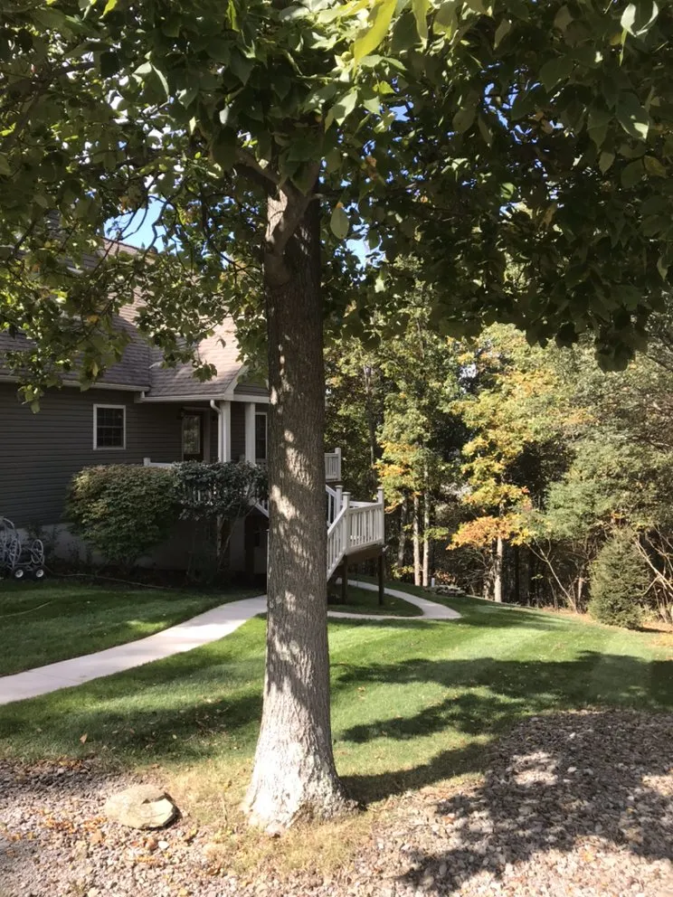 Trusted yard cleanup service for homes across McHenry, MD - Lawn Coach