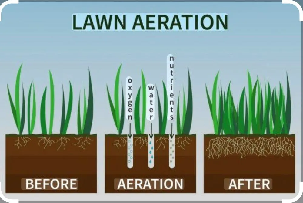 Reliable lawn care service for year-round maintenance in CANTON, NC by Lawn Commander