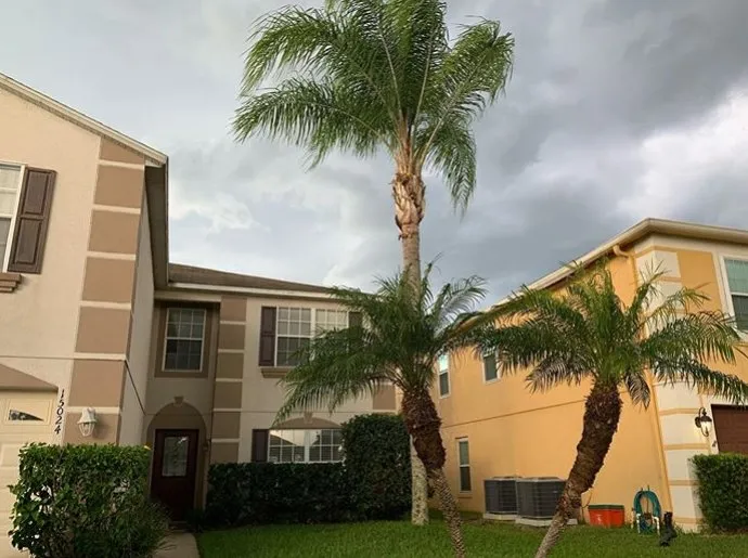 Custom lawn care service in Orlando, FL by Lawn Commander