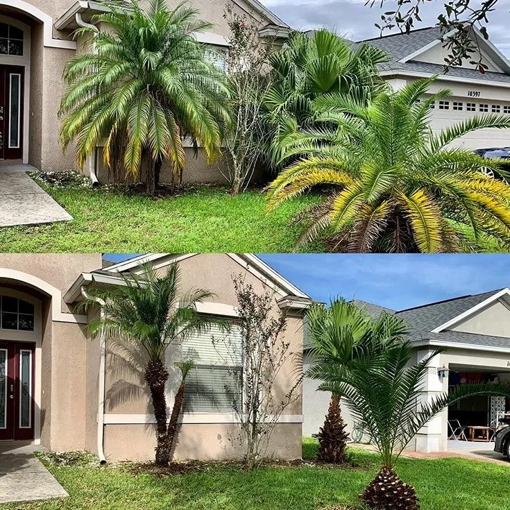 Affordable landscaping services for homes in Orlando, FL by Lawn Commander