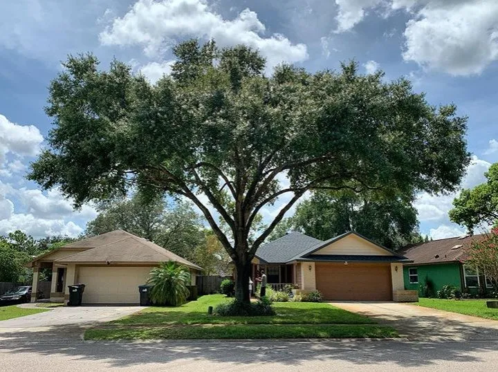 Local lawn care service in Orlando, FL - Lawn Commander