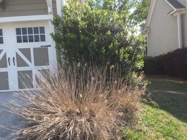 Reliable residential landscaping in Rossville, GA by Lawn Commander