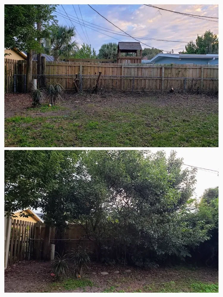 Affordable outdoor landscaping for beautiful yards across Deltona, FL - Lawn Concierge