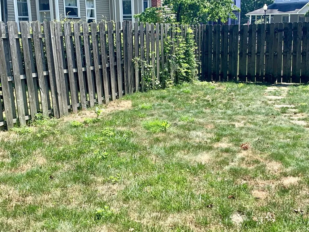 Affordable yard cleanup service in West Berlin, NJ by Lawn Connection