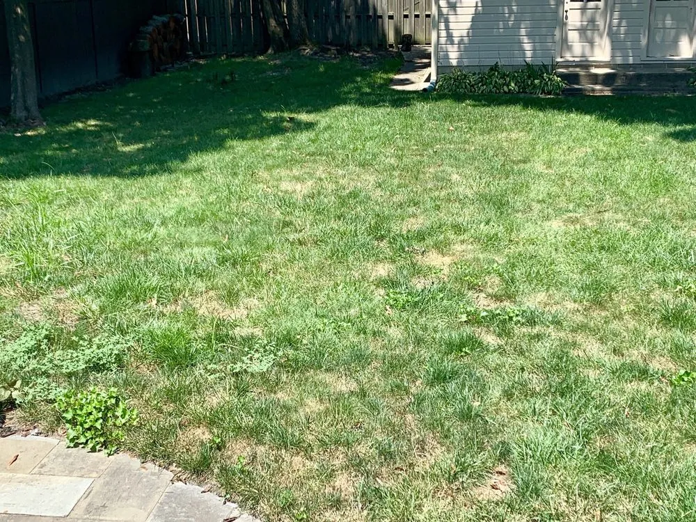 Trusted yard cleanup service for year-round maintenance across West Berlin, NJ - Lawn Connection
