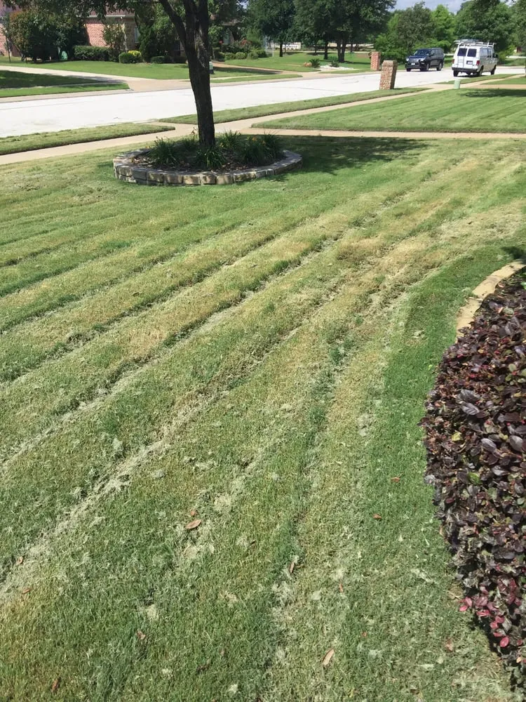 Top-rated residential landscaping for homes in Dallas, TX by Lawn Connections