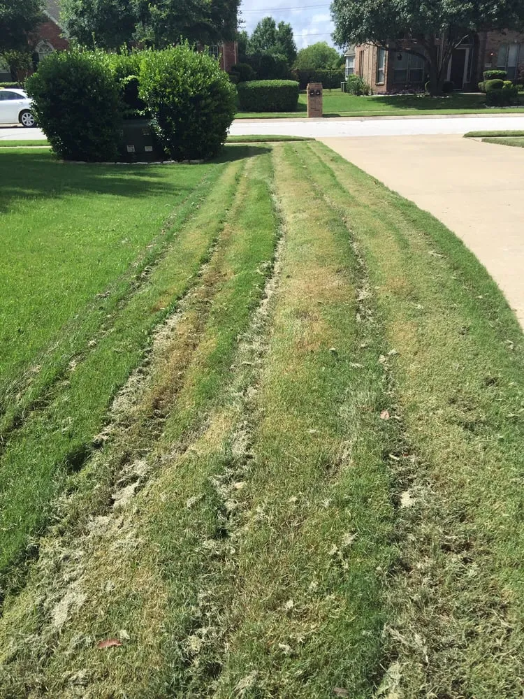 Trusted garden landscaping for year-round maintenance in Dallas, TX by Lawn Connections