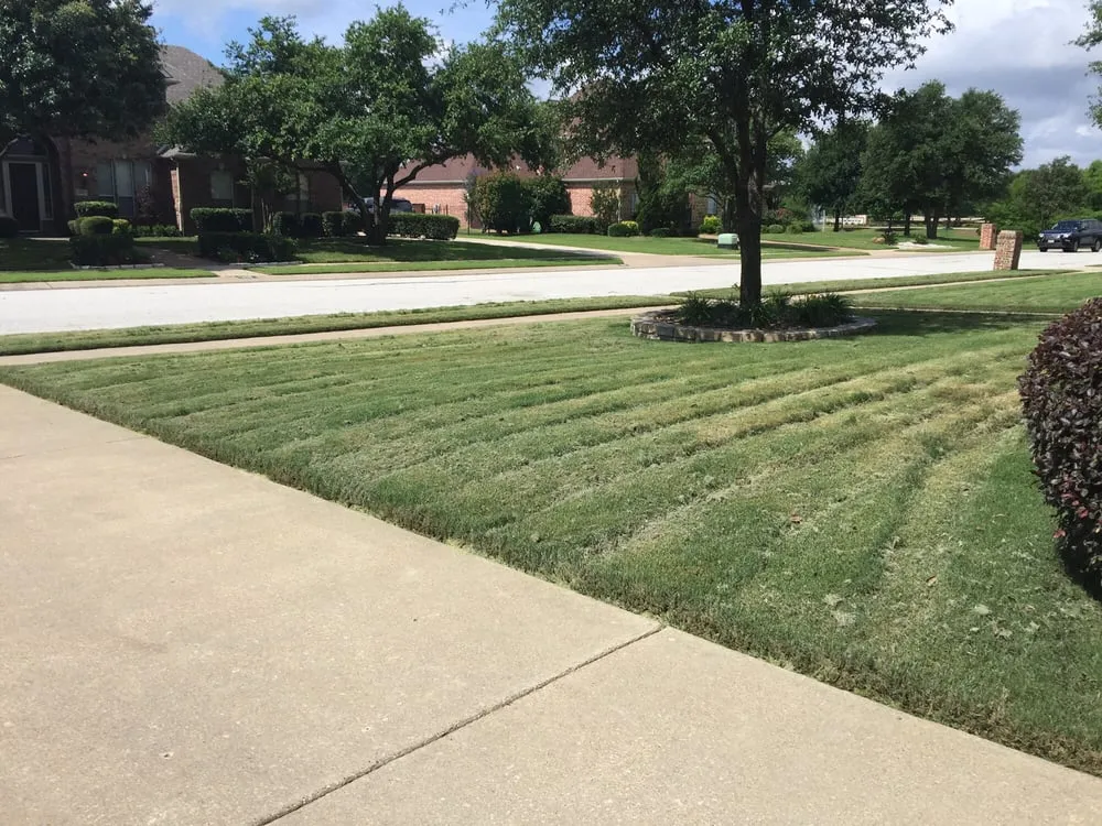 Top-rated outdoor landscaping experts serving Dallas, TX - Lawn Connections
