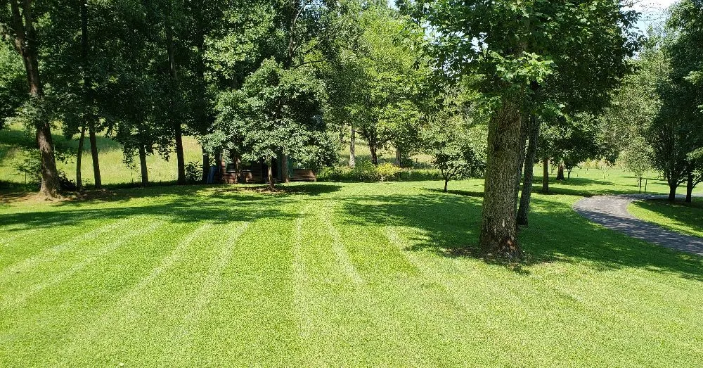 Custom outdoor landscaping in Calhoun, TN - Lawn Control