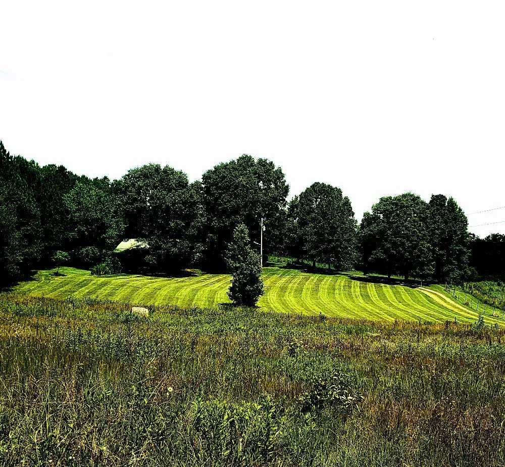 Custom lawn care service near you across Calhoun, TN - Lawn Control