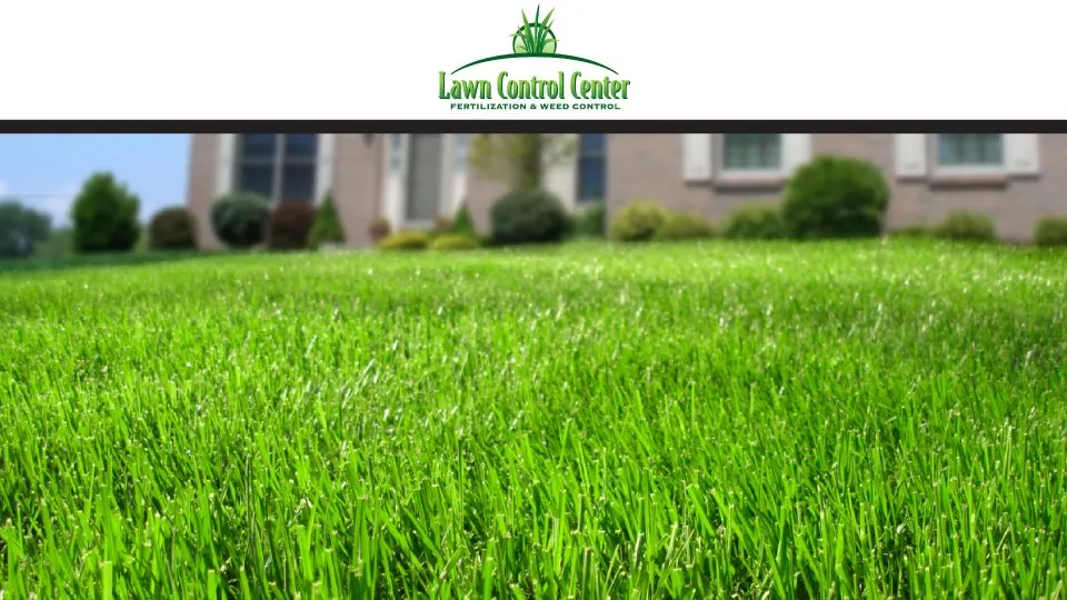 Affordable garden landscaping for outdoor upgrades in Eastlake, OH by Lawn Control Center