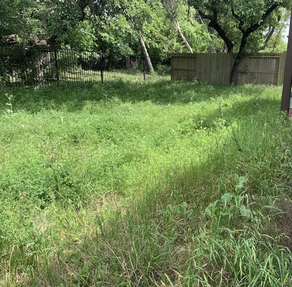 Expert yard maintenance for beautiful yards in Boerne, TX by Lawn Control Of Texas