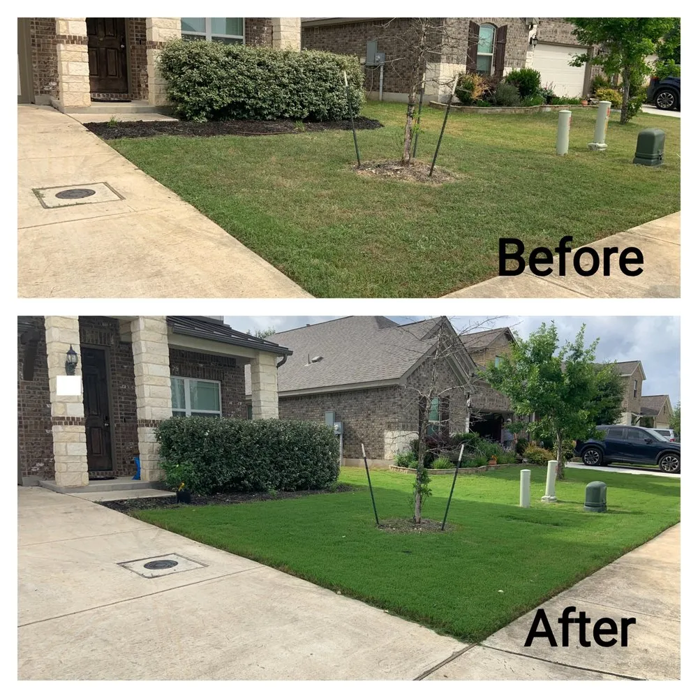 Affordable yard cleanup service in Boerne, TX by Lawn Control Of Texas