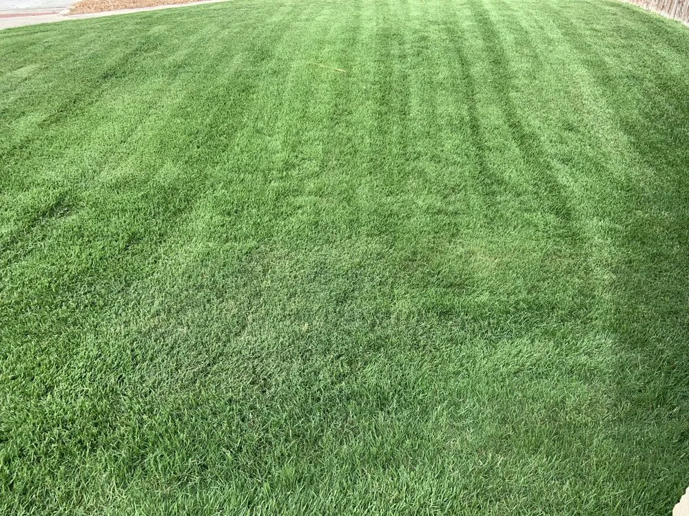 Reliable residential landscaping experts serving Boerne, TX - Lawn Control Of Texas