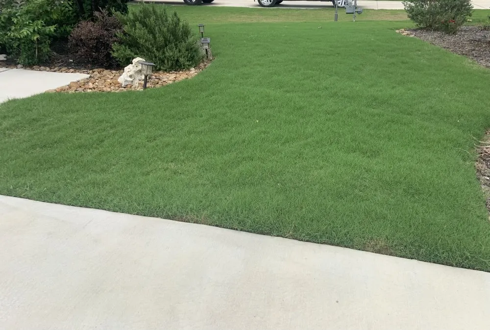 Top-rated yard maintenance for beautiful yards in Boerne, TX by Lawn Control Of Texas