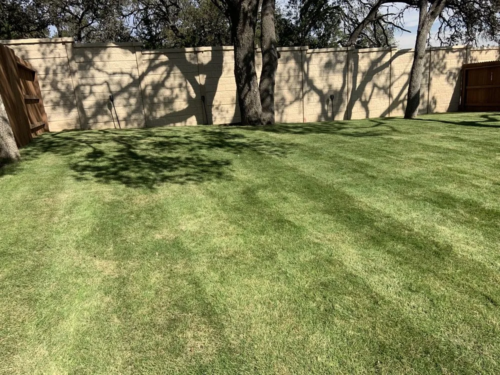 Reliable yard cleanup service in Boerne, TX by Lawn Control Of Texas