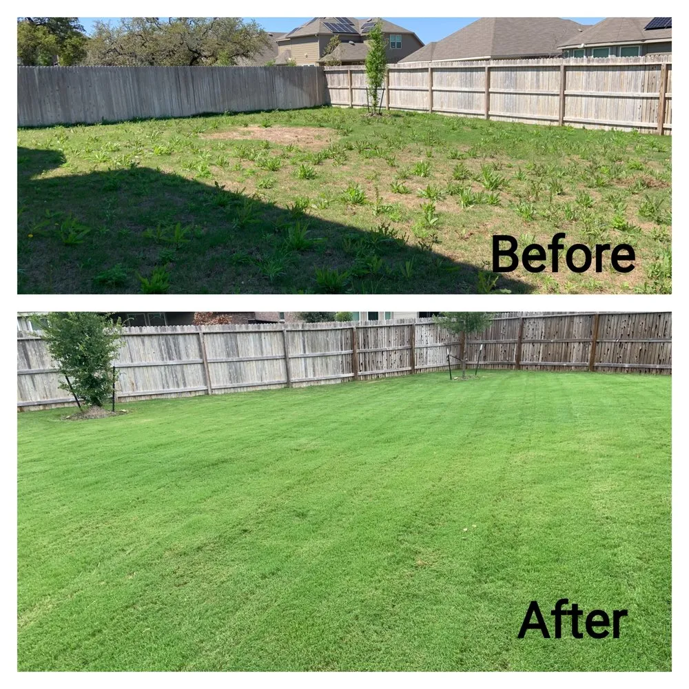 Professional residential landscaping experts serving Boerne, TX - Lawn Control Of Texas