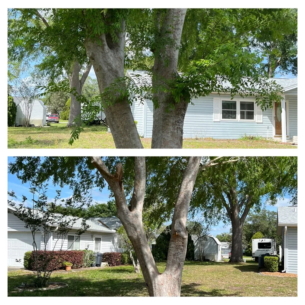 Expert lawn care service in Ocala, FL by Lawn Core Landscaping