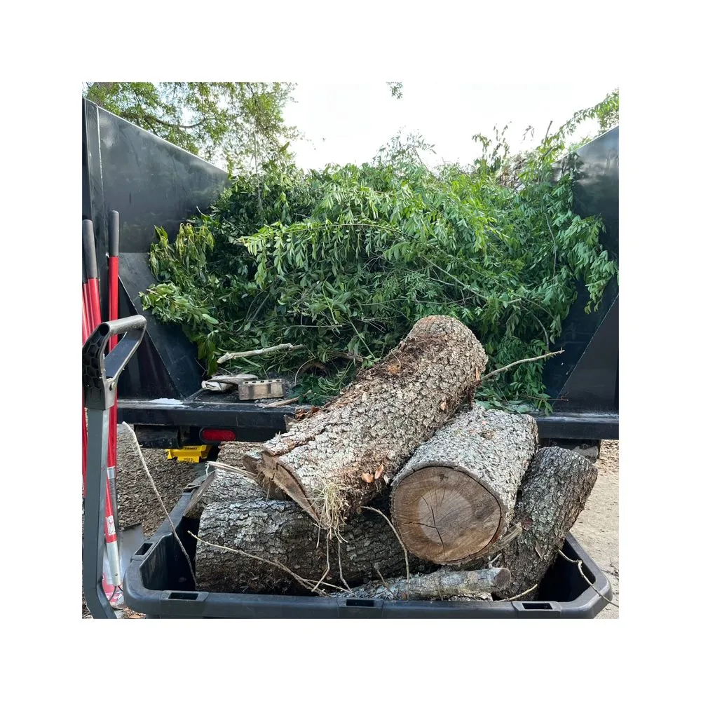 Top-rated lawn care service with custom design in Ocala, FL by Lawn Core Landscaping